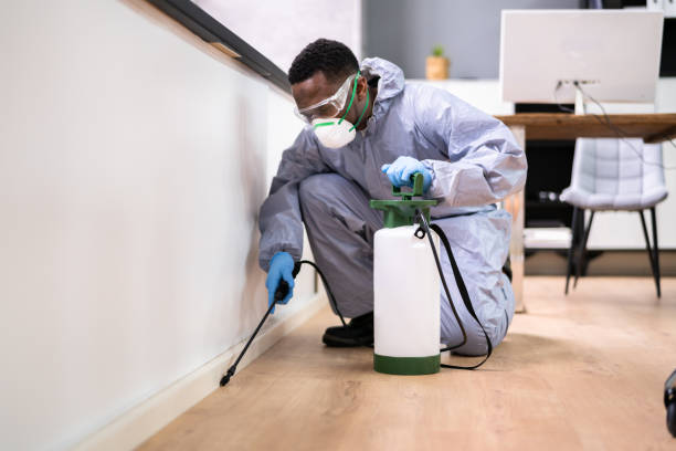 Best Real Estate Pest Inspections  in Jamul, CA